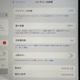 iPad (A16) WiFi 128GB �ԥ� SIM���å������