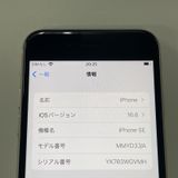 ¡ iPhone SE(3) 64GB 饤 SIMå