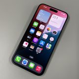 ¡ iPhone 15 Pro Max 1TB ֥å˥ SIMå