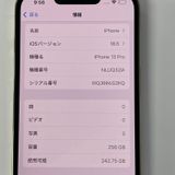 iPhone 13 Pro 256GB ������� SIM���å������