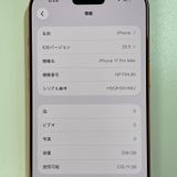 iPhone 17 Pro Max 256GB �����ߥå������ SIM���å������