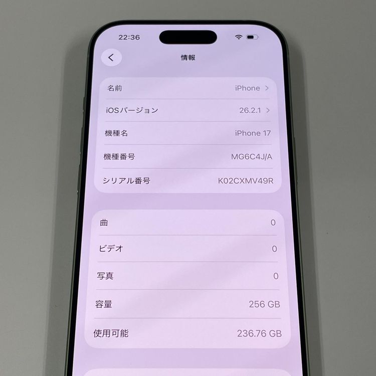 iPhone 17 256GB ������ SIM���å������