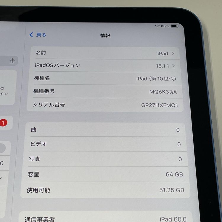 iPad 10 WiFi+Cellular 64GB ֥롼 SIMå