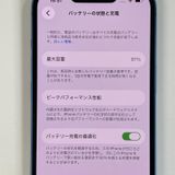 ���������¡��� iPhone 13 256GB �֥롼 SIM���å������