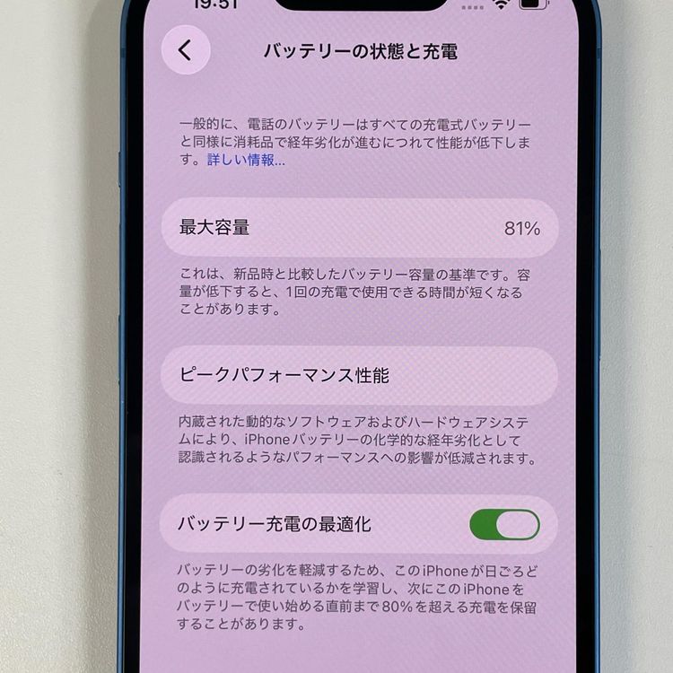 ���������¡��� iPhone 13 256GB �֥롼 SIM���å������