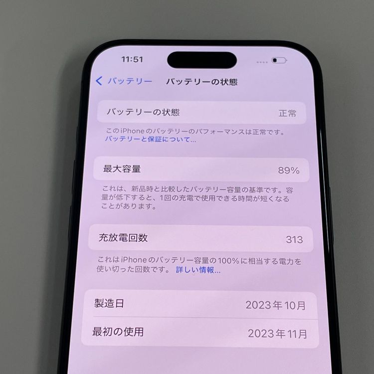 ���������¡��� iPhone 15 Pro 256GB �֥�å������˥��� SIM���å������