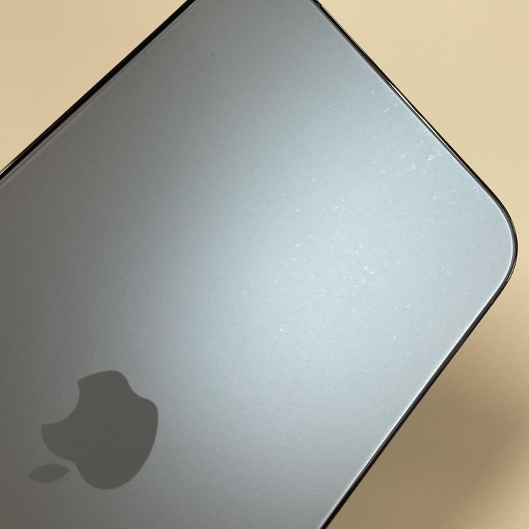 iPhone 13 Pro Max 1TB ֥롼 SIMå