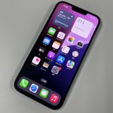 iPhone 13 Pro Max 1TB ֥롼 SIMå