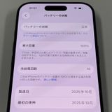 iPhone 17 Pro 256GB ǥץ֥롼 SIMå