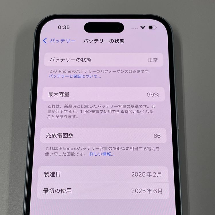iPhone 15 128GB ֥롼 SIMå