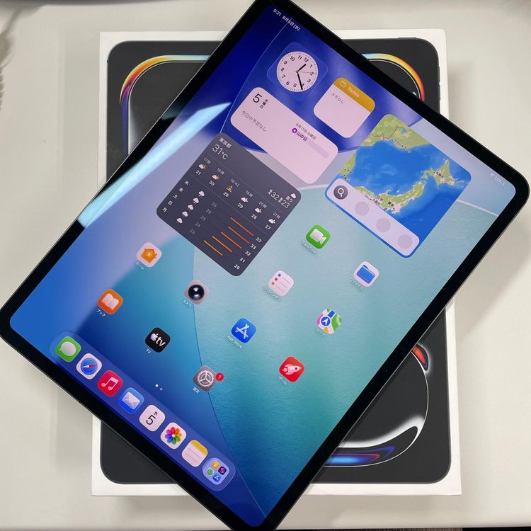 13�����iPad Pro(M4) WiFi+Cellular 256GB ���ڡ����֥�å� SIM���å������