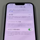 iPhone 13 Pro Max 1TB ֥롼 SIMå