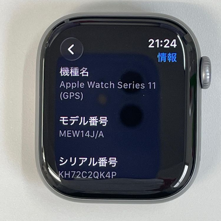 Apple Watch Apple Watch Series 11 42mm GPS ���ڡ������쥤