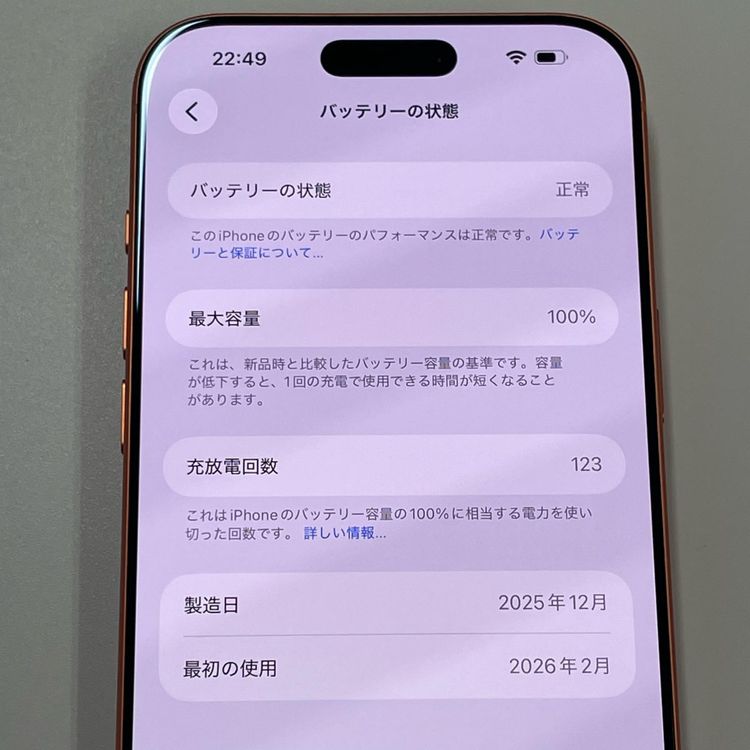 ���������¡��� iPhone 17 Pro Max 256GB �����ߥå������ SIM���å������