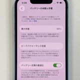 ���������¡��� iPhone 13 mini 256GB �֥롼 SIM���å������