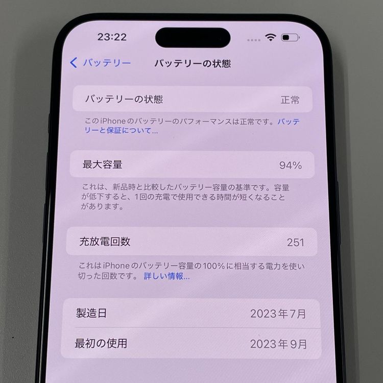 iPhone 15 Pro Max 512GB ֥롼˥ SIMå