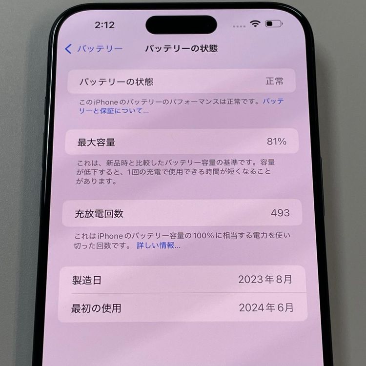 iPhone 15 Pro Max 256GB �֥롼�����˥��� SIM���å������
