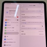 11�����iPad Pro(M5) WiFi+Cellular 256GB ����С� SIM���å������