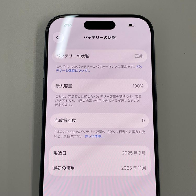 iPhone 17 Pro 256GB �ǥ����ץ֥롼 SIM���å������