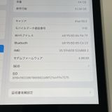 iPad 9 WiFi+Cellular 64GB ڡ쥤 SIMå
