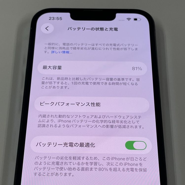 ���������¡��� iPhone 13 Pro 256GB ������֥롼 SIM���å������