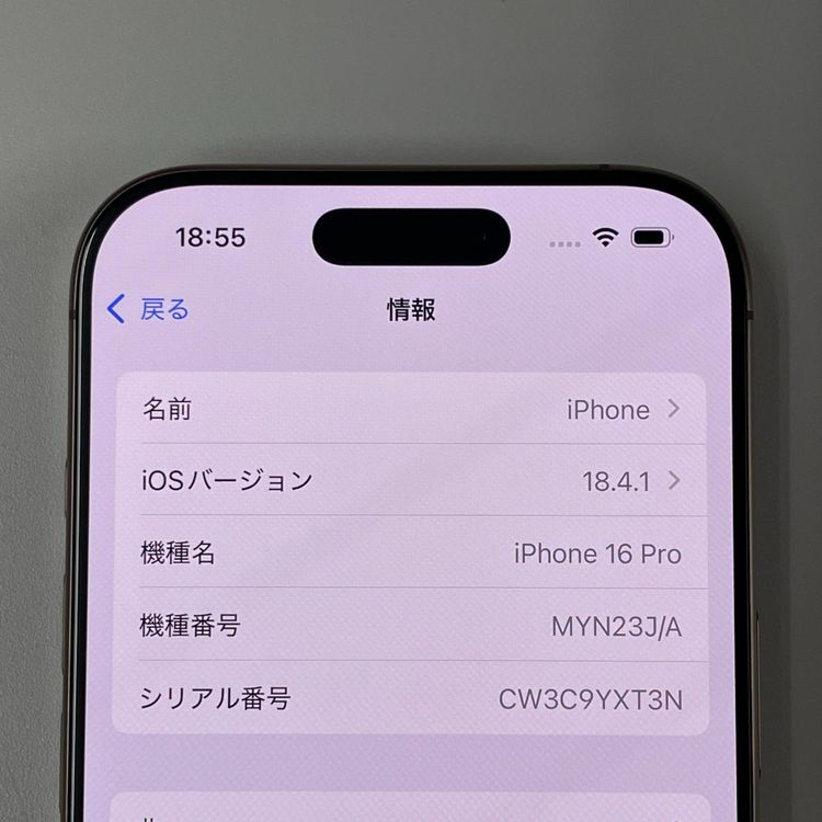 ¡ iPhone 16 Pro 256GB ǥȥ˥ SIMå