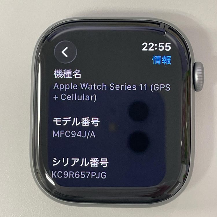 Apple Watch Apple Watch Series 11 46mm GPS+Cellular ����ߥ˥��� ���ڡ������쥤 SIM���å������