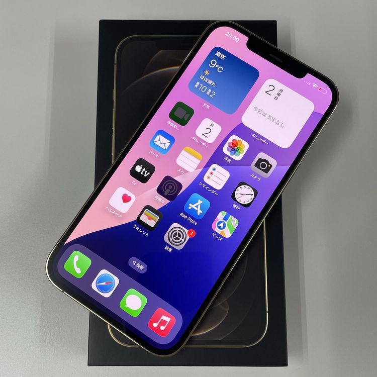 ���������¡��� iPhone 12 Pro MAX 256GB ������� SIM���å������