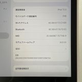 ���������¡��� iPad ��9���� WiFi+Cellular 64GB ���ڡ������쥤 SIM���å������