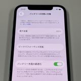 ¡ iPhone 12 Pro 256GB ѥեå֥롼 SIMå