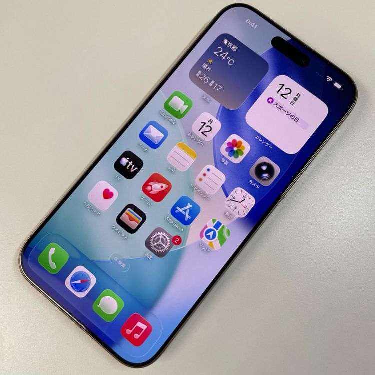 ���������¡��� iPhone 16 Pro Max 256GB �ǥ����ȥ����˥��� SIM���å������