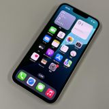 iPhone 13 128GB 饤 SIMå