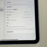 iPad (A16) WiFi+Cellular 256GB ֥롼 SIMå