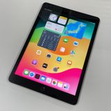iPad 9 WiFi+Cellular 64GB ڡ쥤 SIMå