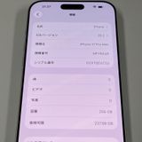 iPhone 17 Pro Max 256GB ����С� SIM���å������