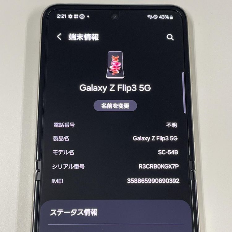 ¡ Galaxy Z Flip3 5G SC-54B ꡼ SIMå