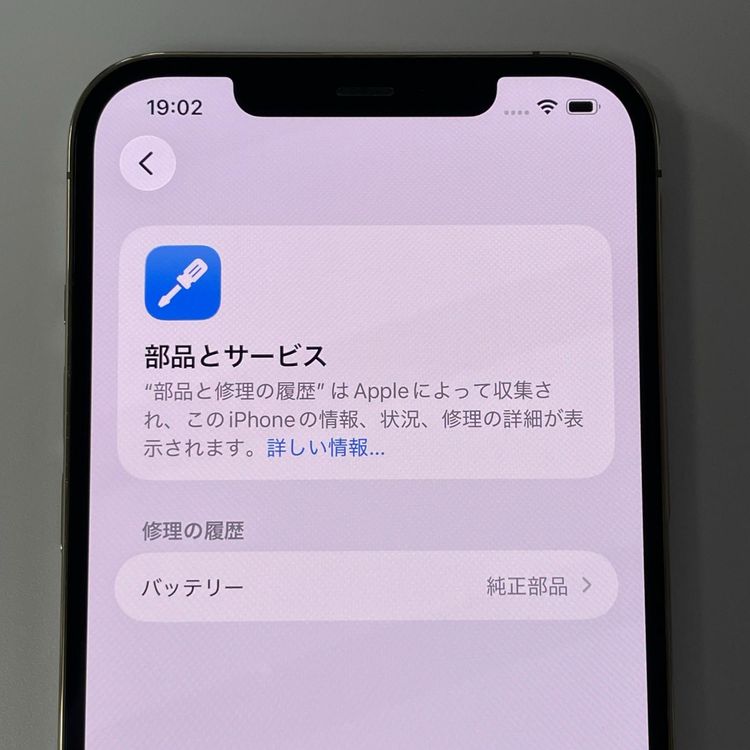 ���������¡��� iPhone 12 Pro MAX 256GB ������� SIM���å������