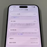 iPhone 15 Pro Max 256GB ֥롼˥ SIMå