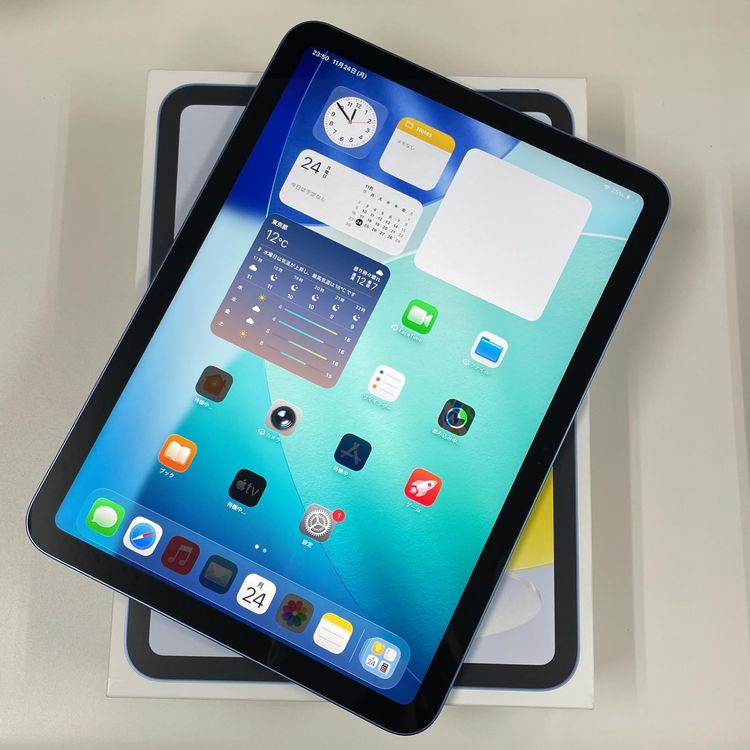 iPad (A16) WiFi 128GB ֥롼