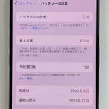 iPhone 15 Pro 128GB �֥롼�����˥��� SIM���å������