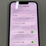 ���������¡��� iPhone 13 Pro Max 256GB ������֥롼 SIM���å������