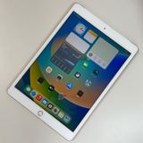 ���������¡��� iPad ��8���� WiFi+Cellular 32GB ������� SIM���å������