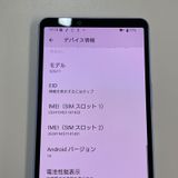 ���������¡��� Xperia 10 V SOG11 ��٥���� SIM���å������