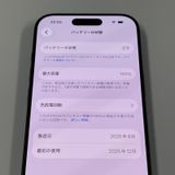 iPhone 17 256GB �֥�å� SIM���å������