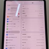 11�����iPad Pro(M5) WiFi+Cellular 256GB ����С� SIM���å������