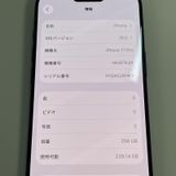 iPhone 17 Pro 256GB �ǥ����ץ֥롼 SIM���å������