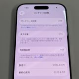 iPhone 16 Pro 256GB �ʥ���������˥��� SIM���å������