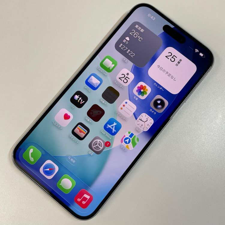 ���������¡��� iPhone 15 Plus 256GB �֥롼 SIM���å������