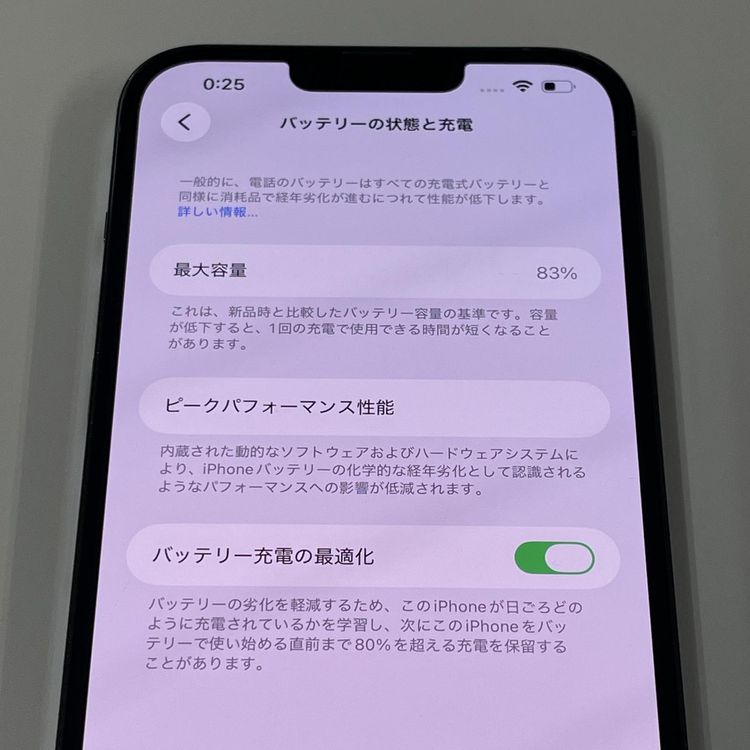 ���������¡��� iPhone 13 Pro Max 256GB ������֥롼 SIM���å������