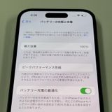 iPhone 14 Pro 256GB ǥץѡץ SIMå